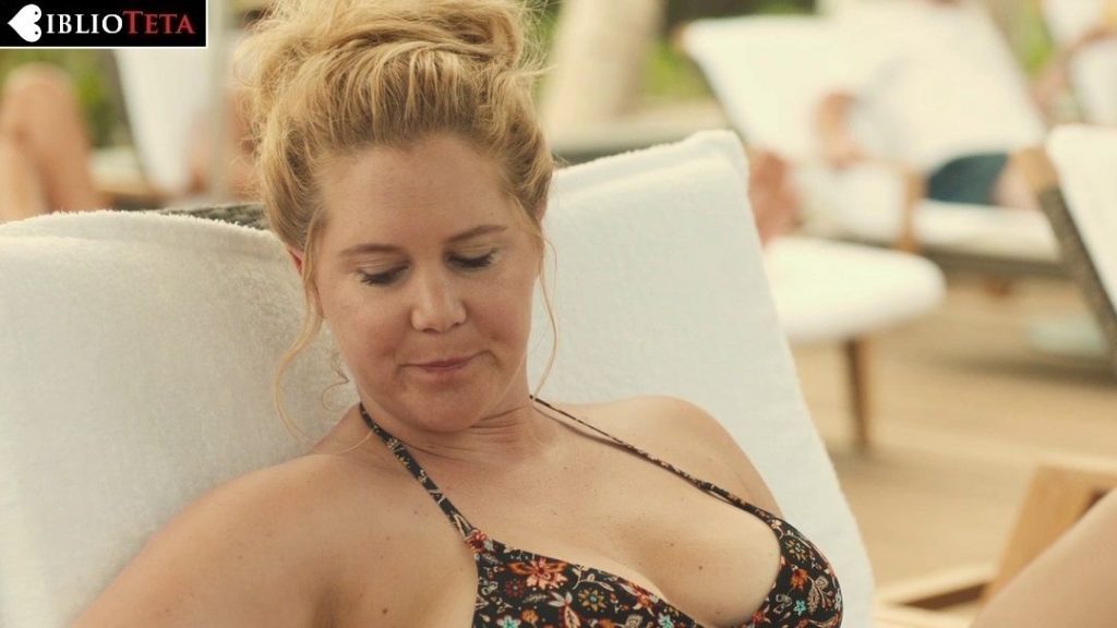 Amy Schumer Desnuda En Descontroladas 2017 La BiblioTeta